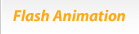 flash website