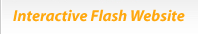 interactive flash 